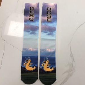 UC santa cruz banana slug socks
